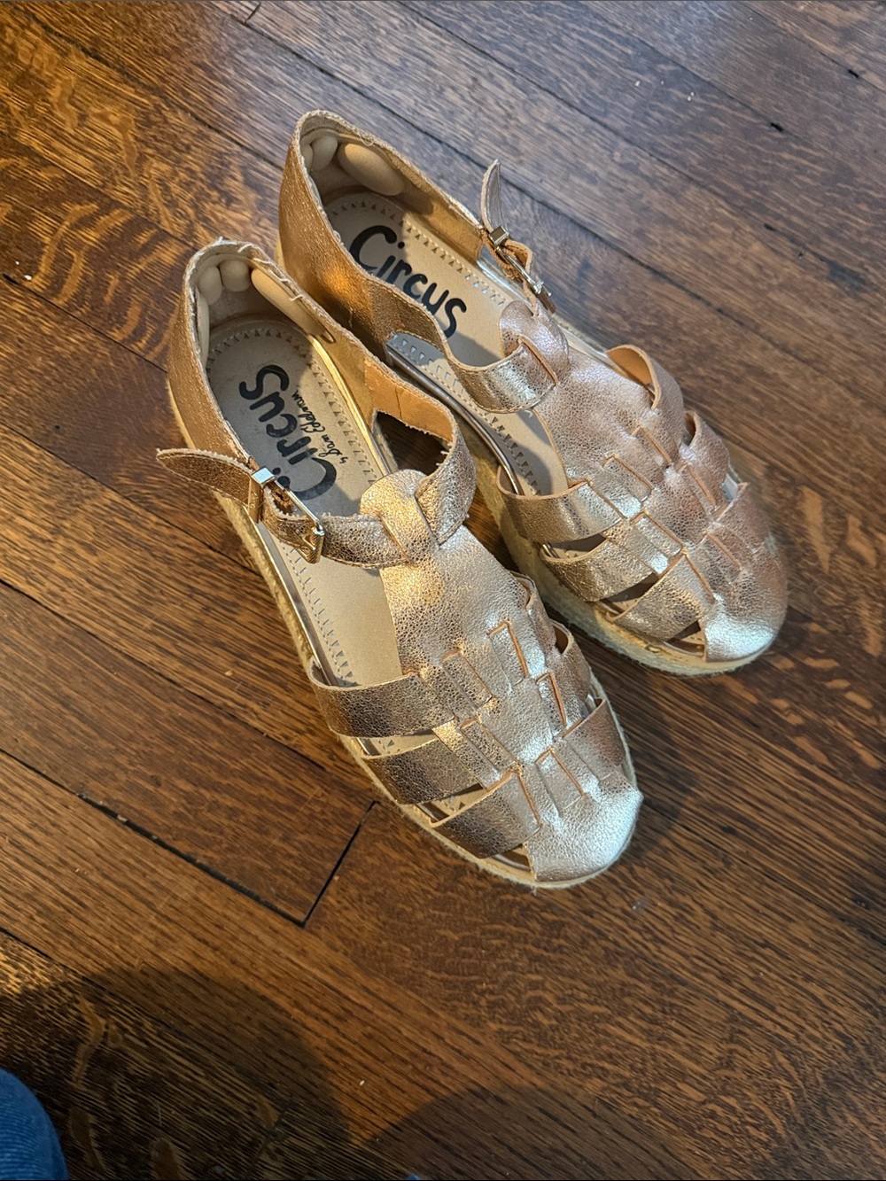 Circus by Sam Edelman Metallic Gold Woven fisherman Sandals